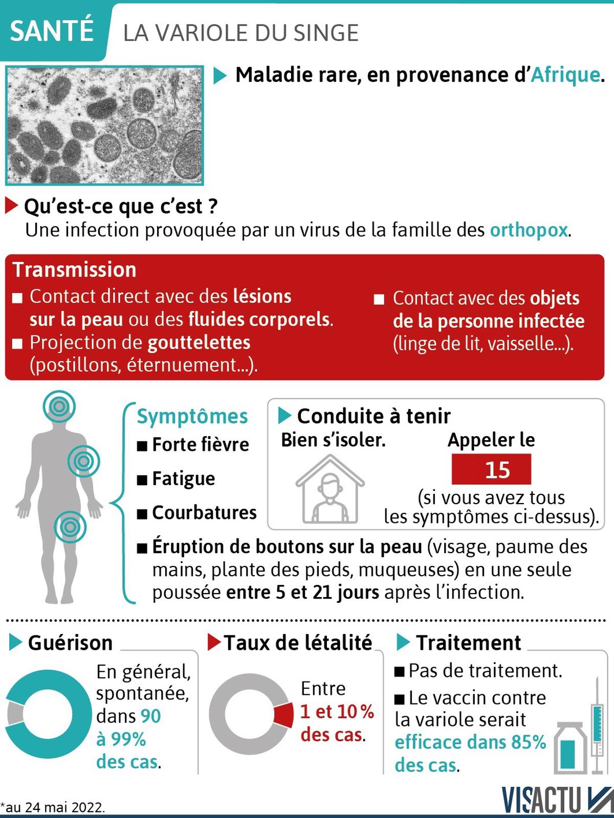 variole du singe infographie